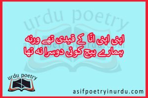 anaa poetry 2 lines in urdu