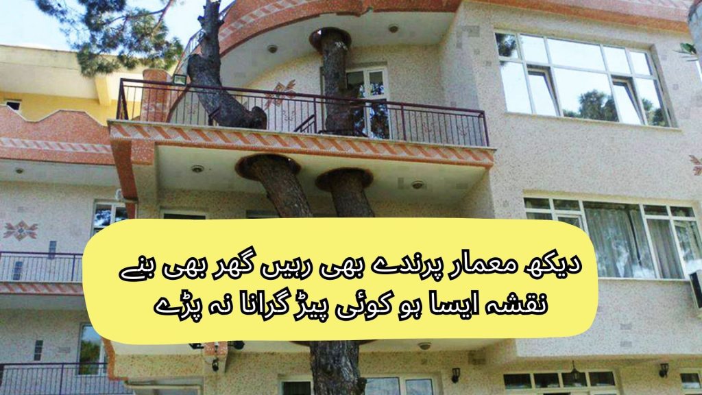 dekh memar parinday bhi rahain