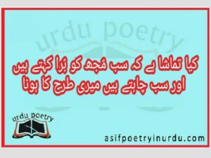 sab mujh ko bura kehtay hain