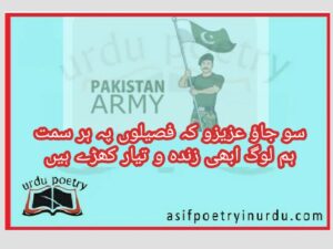 war poetry in urdu