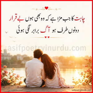 dono taraf hai aag barabar lagi hui poetry